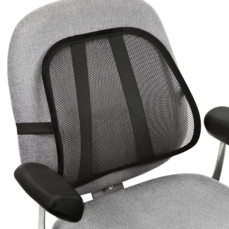 Lumbar Supports Products ergogo